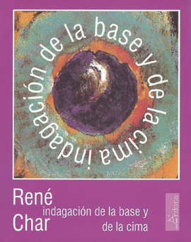 INDAGACI�N DE LA BASE Y DE LA CIMA