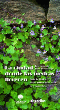 LA CIUDAD DONDE LAS PIEDRAS FLORECEN