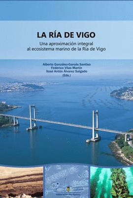 PLAN ESTRATGICO DE VIGO Y SU REA FUNCIONAL (PLAN VIGO 2010) = PLANO