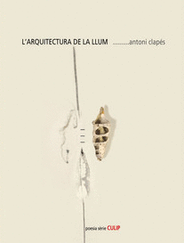 L'ARQUITECTURA DE LA LLUM