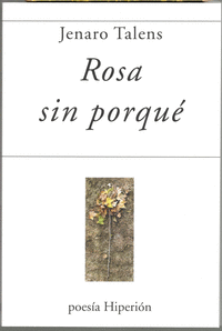 ROSA SIN PORQUE