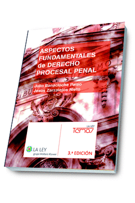 ASPECTOS FUNDAMENTALES DE DERECHO PROCESAL PENAL (3.� EDICI�N)