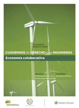 CUADERNOS DE DERECHO PARA INGENIEROS (N. 46)