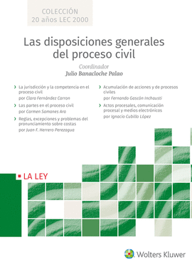 LAS DISPOSICIONES GENERALES DEL PROCESO CIVIL