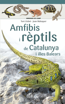 AMFIBIS I RPTILS DE CATALUNYA I ILLES BALEARS