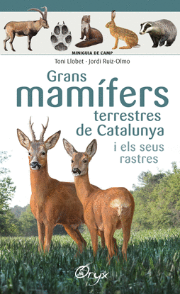 GRANS MAM�FERS TERRESTRES DE CATALUNYA I ELS SEUS RASTRES