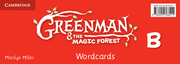 GREENMAN AND THE MAGIC FOREST B WORDCARDS (PACK OF