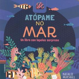 AT�PAME NO MAR