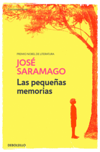 LAS PEQUE�AS MEMORIAS