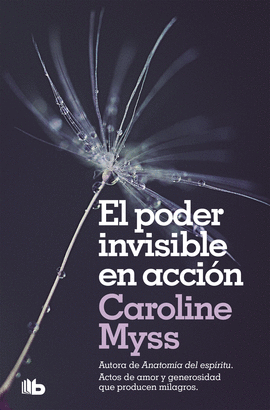 EL PODER INVISIBLE EN ACCIN