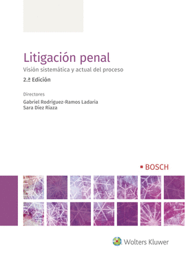 LITIGACIN PENAL