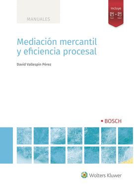 MEDIACION MERCANTIL Y EFICIENCIA PROCESAL, 1 EDIC