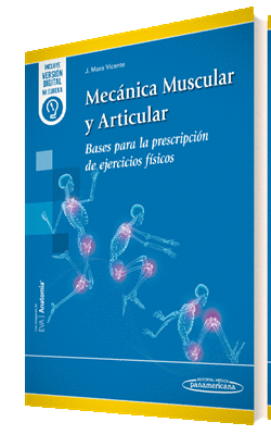 MECNICA MUSCULAR Y ARTICULAR