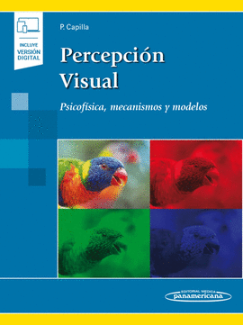 PERCEPCION VISUAL