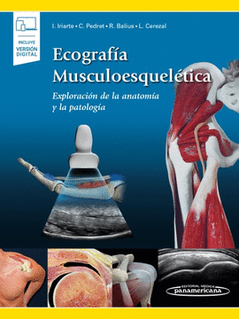 ECOGRAFIA MUSCULOESQUELETICA