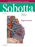 SOBOTTA. ATLAS DE ANATOMA HUMANA VOL 2 (24 ED.)