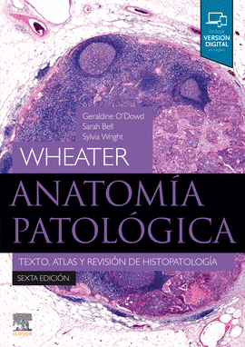 WHEATER. ANATOMA PATOLGICA