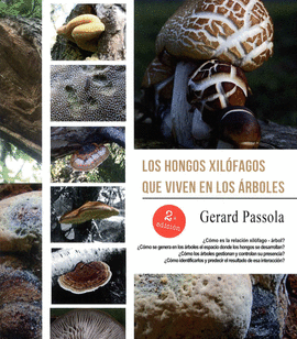 HONGOS XILFAGOS VIVEN EN LOS RBOLES, LOS