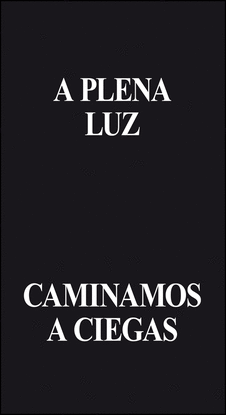 A PLENA LUZ CAMINAMOS A CIEGAS