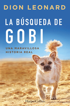 LA BUSQUEDA DE GOBI