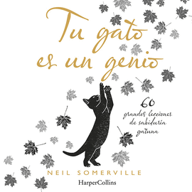 TU GATO ES UN GENIO 60 GRANDES LECCIONES