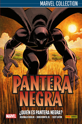 PANTERA NEGRA DE HUDKIN 01: QUIN ES PANTERA NEGRA?