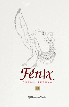 F�NIX N� 11/12 (TRAZADO)
