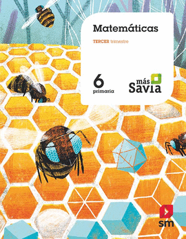 MATEMATICAS 6�EP 19 MAS SAVIA