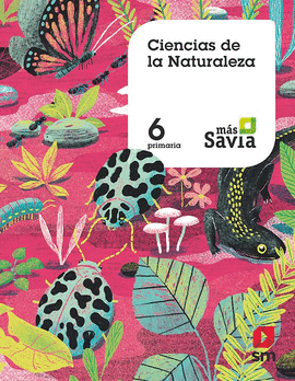 CIENCIAS NATURALEZA 6�EP 19 MAS SAVIA