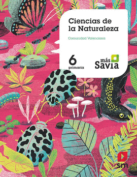 PLASTICA 4�EP ANDALUCIA 19 MAS SAVIA