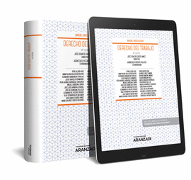 DERECHO DEL TRABAJO (PAPEL + E-BOOK)