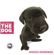 ARTLIST COLLECTION THE DOG AMIGOS ADORABLES