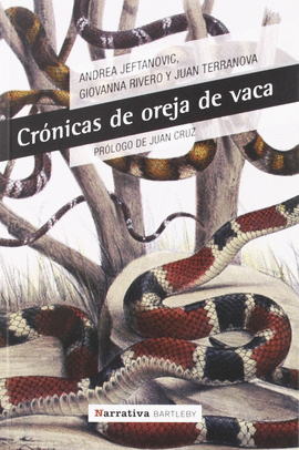 CR�NICAS DE OREJA DE VACA