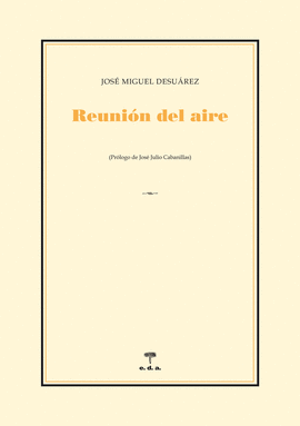 REUNI�N DEL AIRE