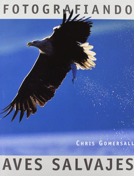 FOTOGRAFIANDO AVES SALVAJES