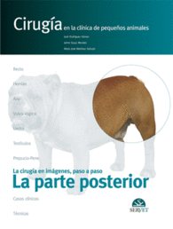 LA PARTE POSTERIOR. CIRUG�A EN LA CL�NICA DE PEQUE�OS ANIMALES