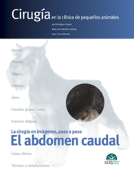 EL ABDOMEN CAUDAL. CIRUGA EN LA CLNICA DE PEQUEOS ANIMALES