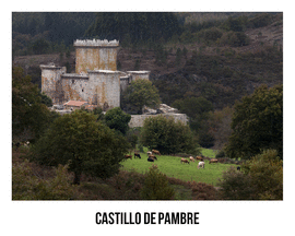 CASTILLO DE PAMBRE