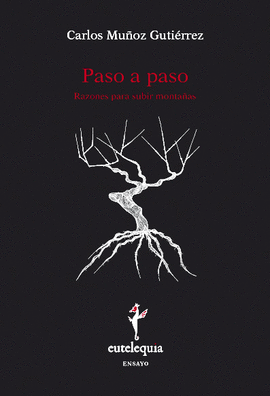 PASO A PASO. RAZONES PARA SUBIR MONTA�AS