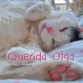 QUERIDA OLGA