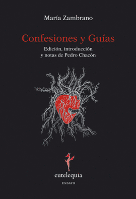 CONFESIONES Y GU�AS