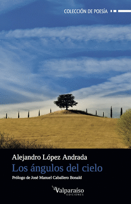 LOS �NGULOS DEL CIELO