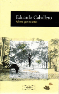 AHORA QUE NO EST�S