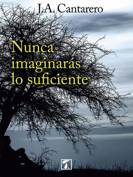 NUNCA IMAGINAR�S LO SUFICIENTE