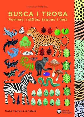 BUSCA I TROBA FORMES, RATLLES, TAQUES I M�S