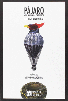 P�JARO CON NARANJAS EN EL PICO