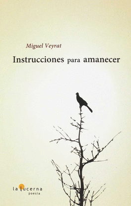 INSTRUCCIONES PARA AMANECER