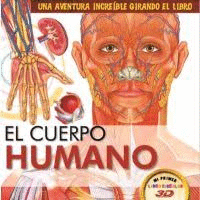 EL CUERPO HUMANO