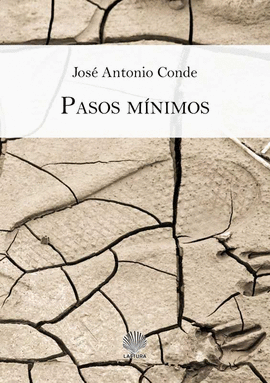 PASOS M�NIMOS