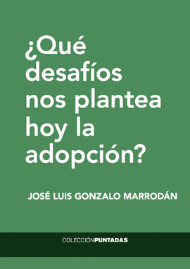 �QUE DESAFIOS NOS PLANTEA HOY LA ADOPCION
